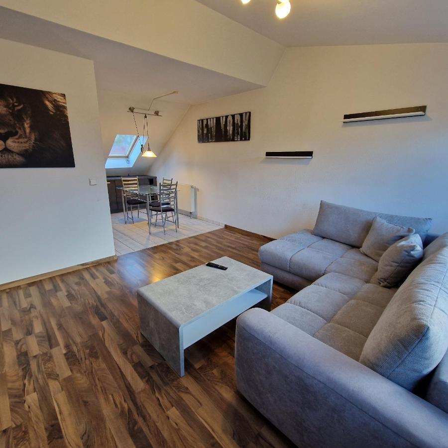 Dm Hotels & Apartments - Apartment Dosborn 5-9 Dingelstadt Extérieur photo
